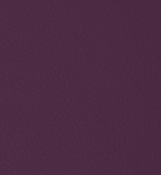 Aubergine
