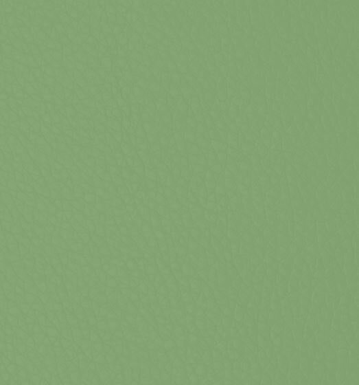 Grass